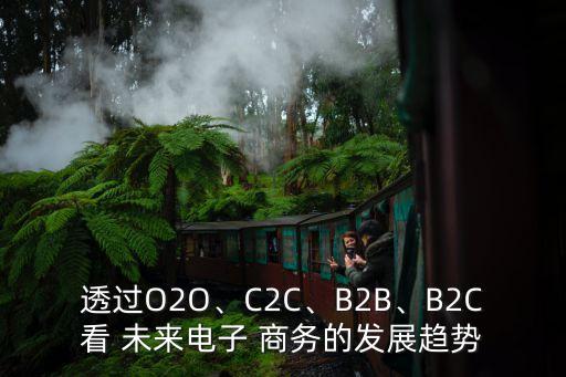 透過(guò)O2O、C2C、B2B、B2C看 未來(lái)電子 商務(wù)的發(fā)展趨勢(shì)