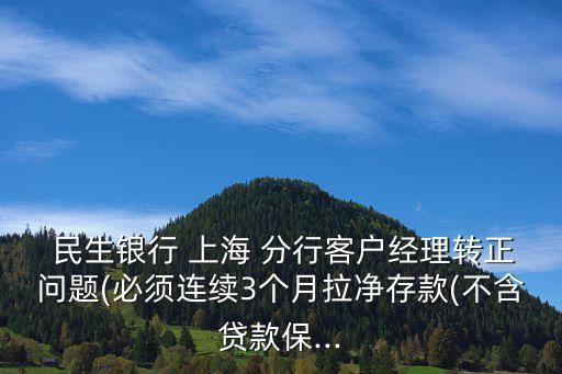  民生銀行 上海 分行客戶經(jīng)理轉(zhuǎn)正問(wèn)題(必須連續(xù)3個(gè)月拉凈存款(不含貸款保...