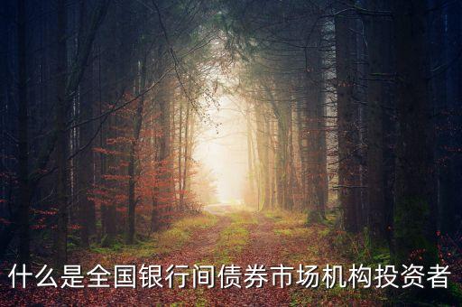 什么是全國銀行間債券市場(chǎng)機(jī)構(gòu)投資者