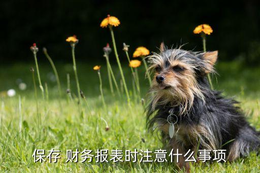 保存 財務(wù)報表時注意什么事項(xiàng)