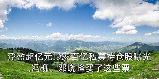 浮盈超億元!9家百億私募持倉股曝光,馮柳、鄧曉峰買了這些票