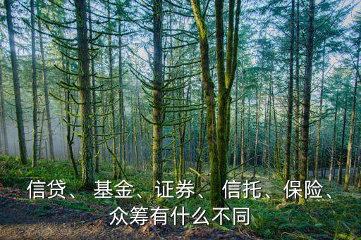 信貸、 基金、證券、 信托、保險(xiǎn)、眾籌有什么不同