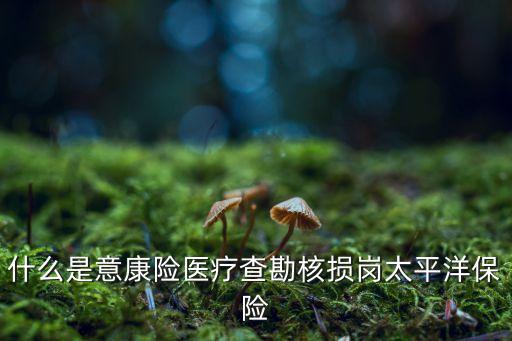 中國太保基礎設施債權(quán),基礎設施債權(quán)計劃
