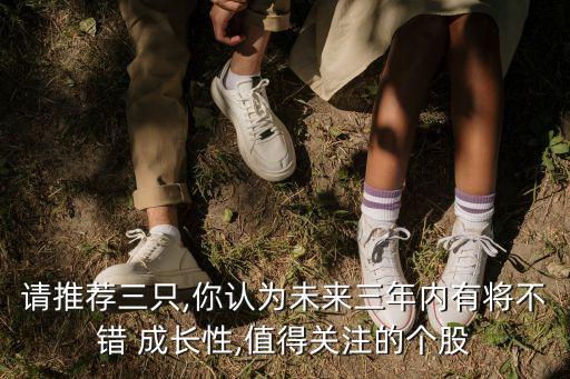 請(qǐng)推薦三只,你認(rèn)為未來三年內(nèi)有將不錯(cuò) 成長性,值得關(guān)注的個(gè)股