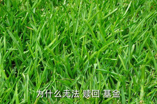 指數(shù)基金能部分贖回嗎,ETF指數(shù)基金可以隨時贖回嗎