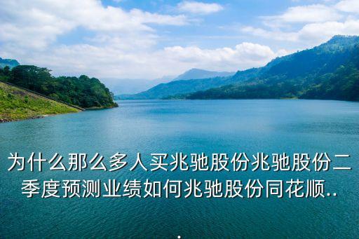 為什么那么多人買兆馳股份兆馳股份二季度預測業(yè)績?nèi)绾握遵Y股份同花順...