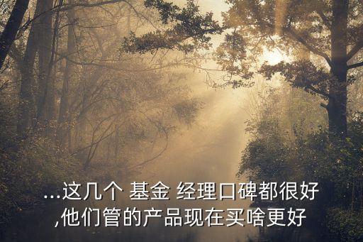...這幾個(gè) 基金 經(jīng)理口碑都很好,他們管的產(chǎn)品現(xiàn)在買(mǎi)啥更好