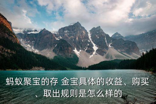 螞蟻聚寶的存 金寶具體的收益、購(gòu)買、取出規(guī)則是怎么樣的