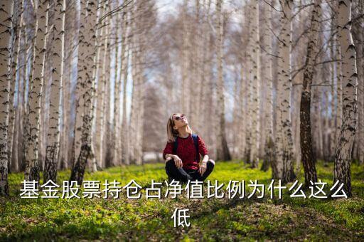  基金股票持倉(cāng)占凈值比例為什么這么低