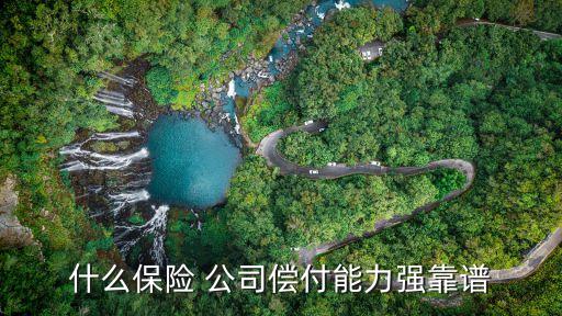 什么保險 公司償付能力強(qiáng)靠譜