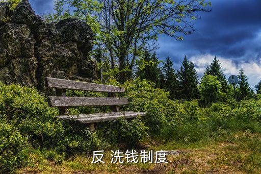 金融機(jī)構(gòu)對(duì)于向中國(guó)反洗錢,銀行業(yè)金融機(jī)構(gòu)的反洗錢系統(tǒng)至少