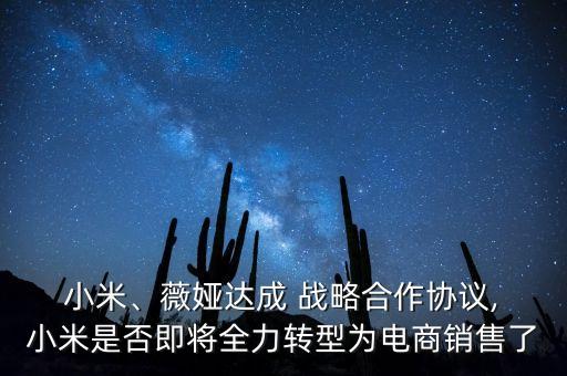  小米、薇婭達(dá)成 戰(zhàn)略合作協(xié)議, 小米是否即將全力轉(zhuǎn)型為電商銷售了