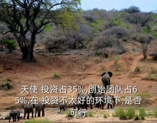 天使股權投資運作方案,天使輪投資如何查到股權