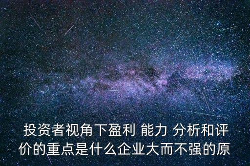 投資者視角下盈利 能力 分析和評價的重點是什么企業(yè)大而不強(qiáng)的原