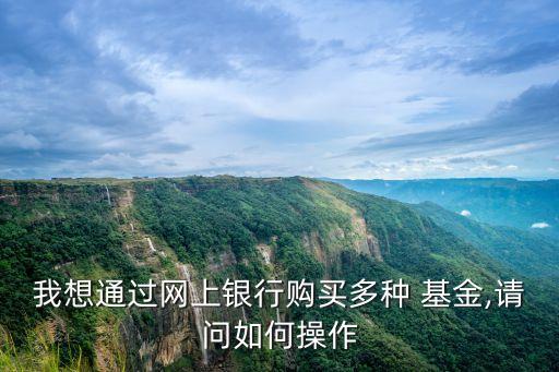 我想通過網(wǎng)上銀行購買多種 基金,請(qǐng)問如何操作