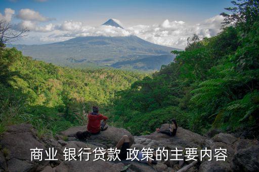 商業(yè) 銀行貸款 政策的主要內容