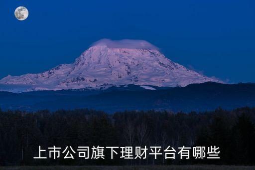 上市公司旗下理財(cái)平臺(tái)有哪些