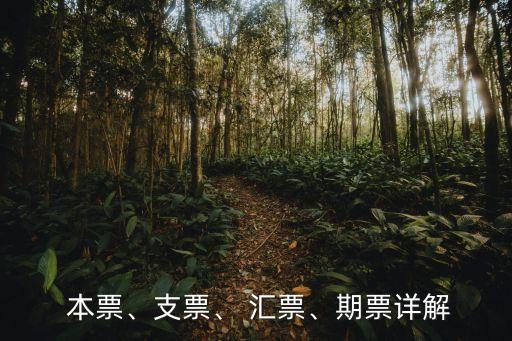  本票、支票、 匯票、期票詳解