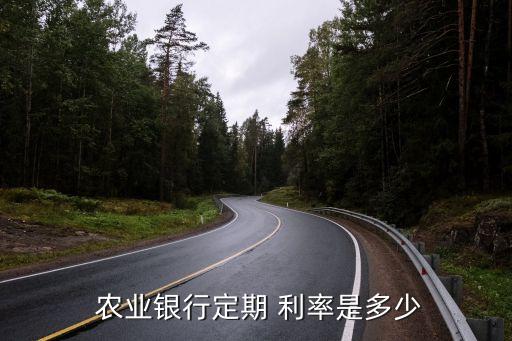  農業(yè)銀行定期 利率是多少