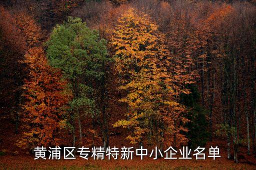 黃浦區(qū)專(zhuān)精特新中小企業(yè)名單