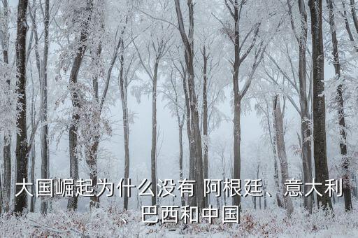 大國(guó)崛起為什么沒(méi)有 阿根廷、意大利、巴西和中國(guó)