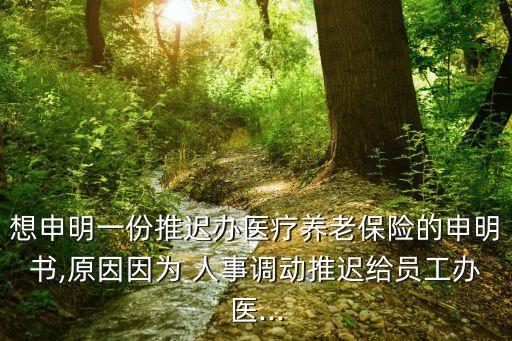 想申明一份推遲辦醫(yī)療養(yǎng)老保險(xiǎn)的申明書,原因因?yàn)?人事調(diào)動推遲給員工辦醫(yī)...