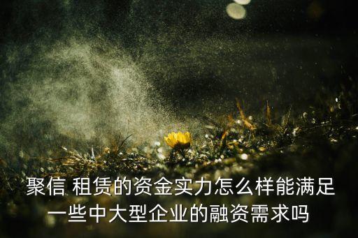  聚信 租賃的資金實(shí)力怎么樣能滿(mǎn)足一些中大型企業(yè)的融資需求嗎