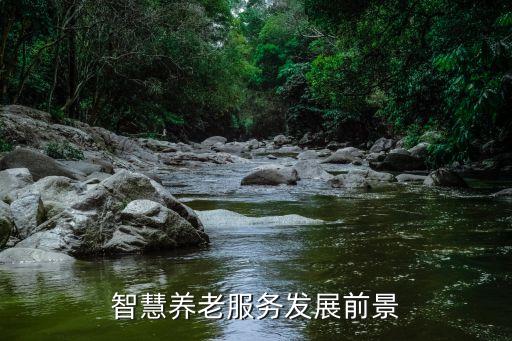 北京老年健康產(chǎn)業(yè),世界老年健康產(chǎn)業(yè)基金會(huì)