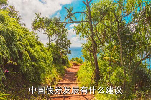 中國(guó)債券發(fā)展有什么建議