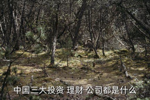 國內知名理財公司