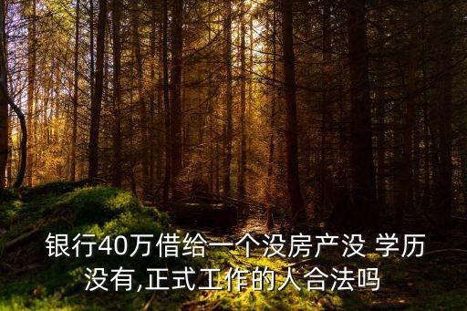  銀行40萬借給一個沒房產(chǎn)沒 學歷沒有,正式工作的人合法嗎