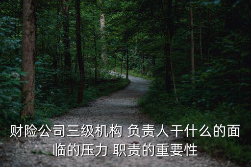 財(cái)險公司三級機(jī)構(gòu) 負(fù)責(zé)人干什么的面臨的壓力 職責(zé)的重要性
