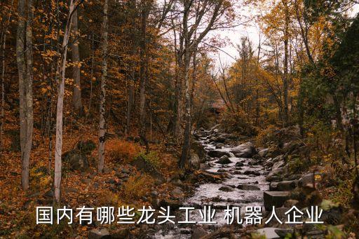 國內(nèi)有哪些龍頭工業(yè) 機器人企業(yè)