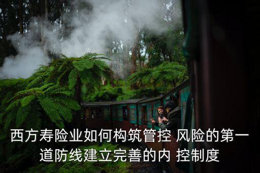 西方壽險業(yè)如何構(gòu)筑管控 風(fēng)險的第一道防線建立完善的內(nèi) 控制度