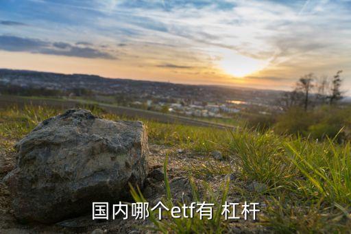 國內(nèi)哪個(gè)etf有 杠桿