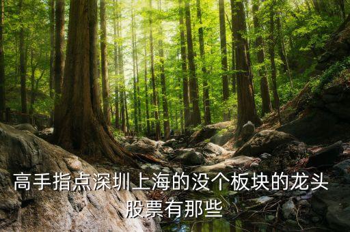 高手指點(diǎn)深圳上海的沒個板塊的龍頭 股票有那些