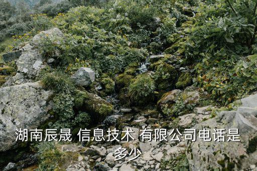 湖南辰晟 信息技術(shù) 有限公司電話(huà)是多少