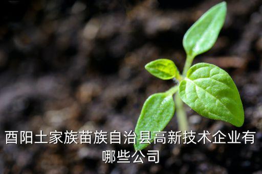 酉陽土家族苗族自治縣高新技術企業(yè)有哪些公司