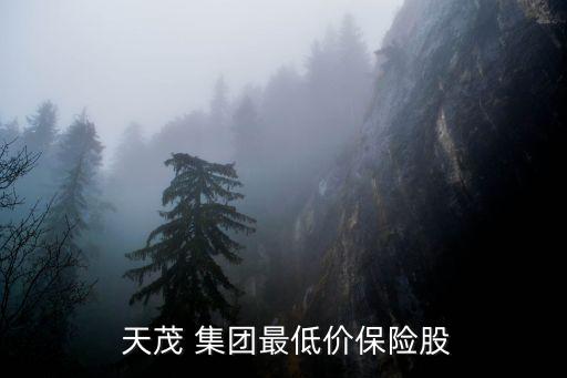  天茂 集團(tuán)最低價保險股