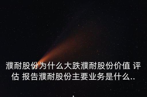 北京利爾菱鎂礦評估報(bào)告