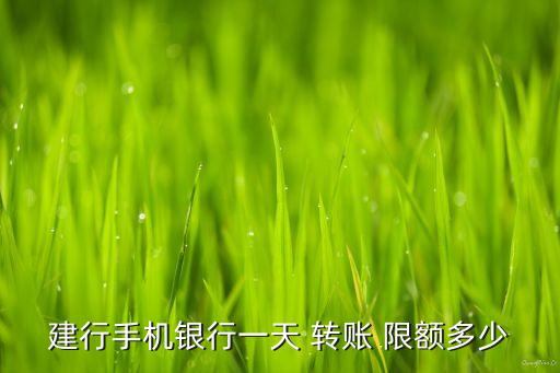 建行手機銀行一天 轉賬 限額多少