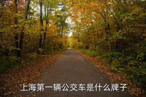  上海第一輛公交車(chē)是什么牌子