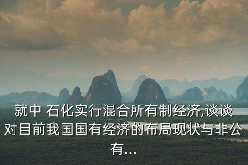 就中 石化實行混合所有制經濟,談談對目前我國國有經濟的布局現(xiàn)狀與非公有...