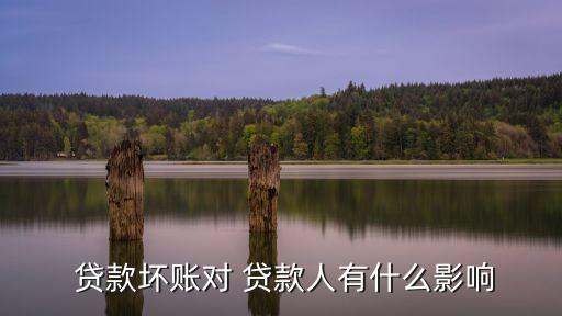  貸款壞賬對(duì) 貸款人有什么影響