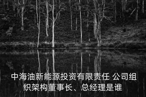 中海油新能源投資有限責(zé)任 公司組織架構(gòu)董事長(zhǎng)、總經(jīng)理是誰