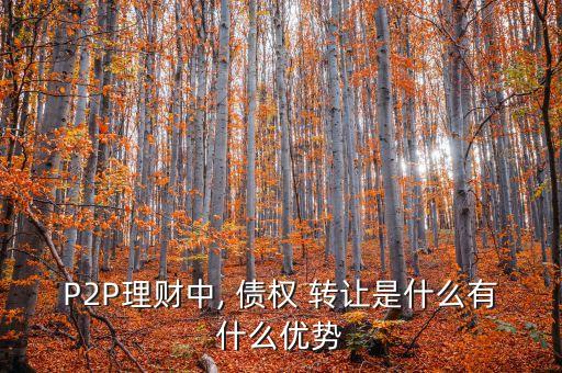 P2P理財(cái)中, 債權(quán) 轉(zhuǎn)讓是什么有什么優(yōu)勢