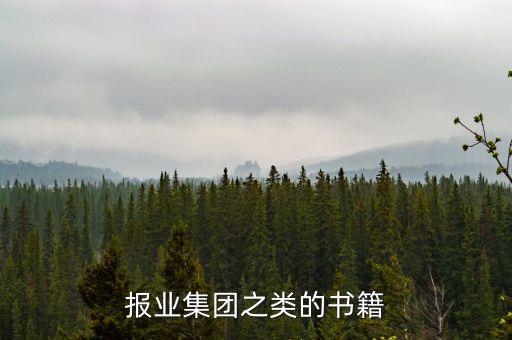 報業(yè)集團(tuán)之類的書籍