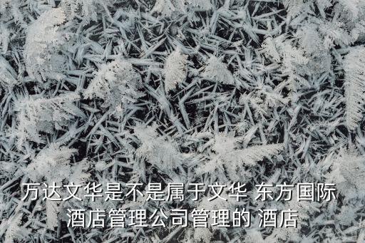 萬達文華是不是屬于文華 東方國際 酒店管理公司管理的 酒店