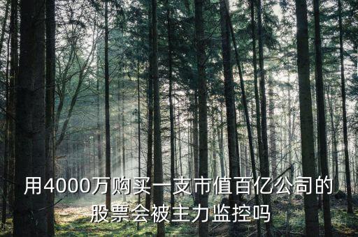 用4000萬(wàn)購(gòu)買一支市值百億公司的 股票會(huì)被主力監(jiān)控嗎