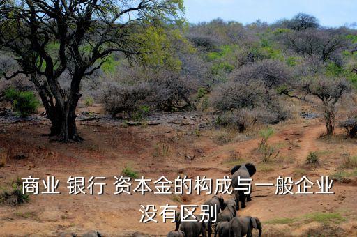 商業(yè) 銀行 資本金的構(gòu)成與一般企業(yè)沒(méi)有區(qū)別